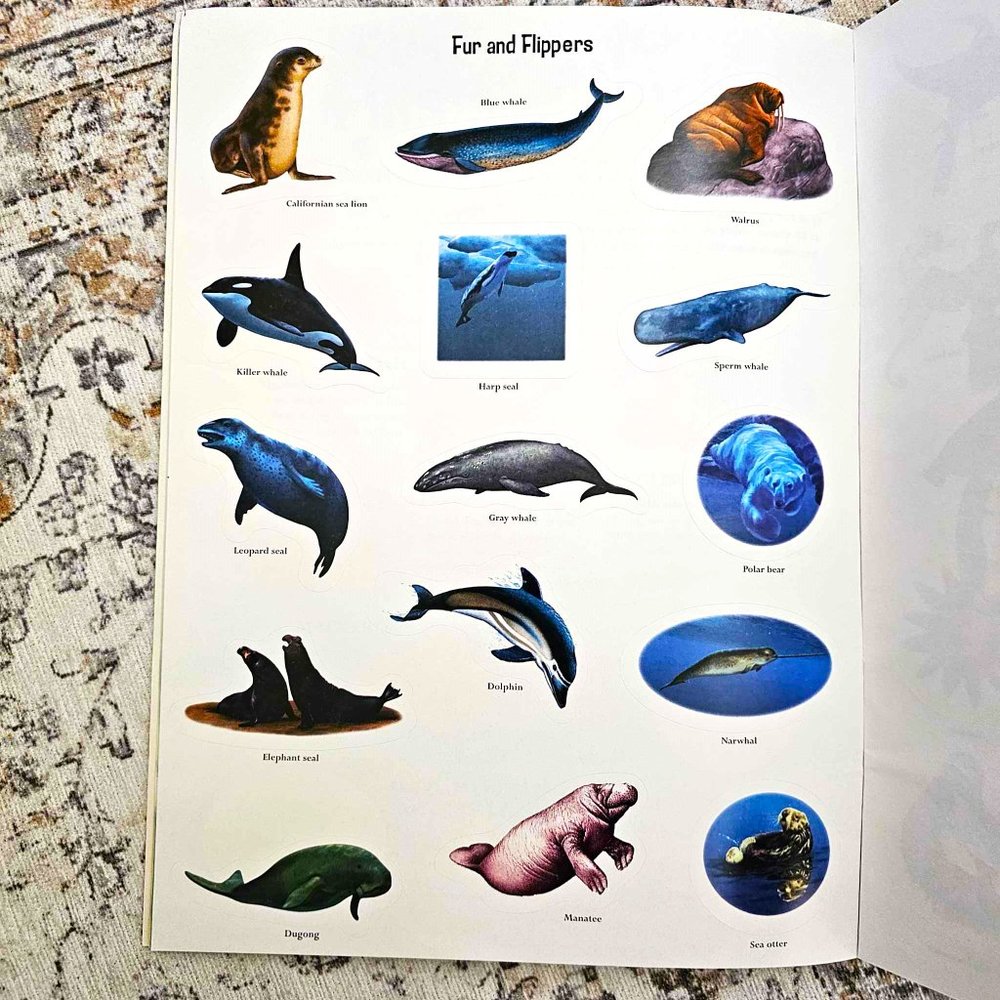 Set of 2 Children's Sticker Books. "Slimy & Scaly" and "Wet & Wild" . Softcover. - Picture 5 of 16